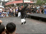 Sigong Mike, Rooster Form